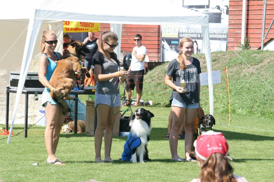Ergebnisse und Fotos vom Dogfrisbee Fun Turnier am 1. Hundetag Korneuburg 2015